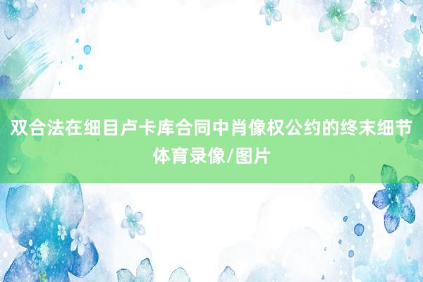 双合法在细目卢卡库合同中肖像权公约的终末细节体育录像/图片
